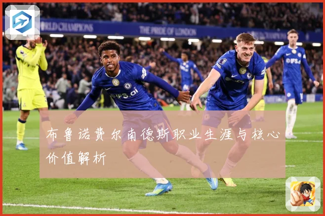 布鲁诺费尔南德斯职业生涯与核心价值解析