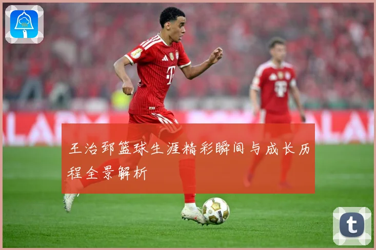 王治郅篮球生涯精彩瞬间与成长历程全景解析