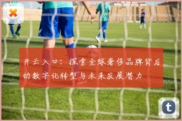 开云入口：探索全球奢侈品牌背后的数字化转型与未来发展潜力